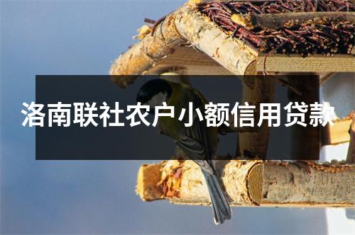 洛南联社农户小额信用贷款