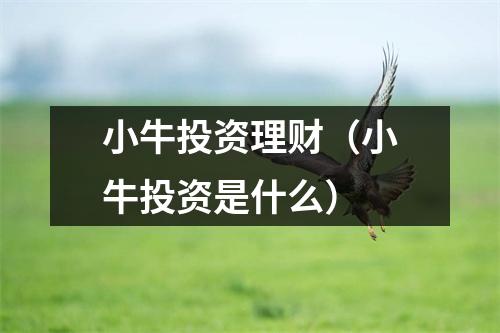 小牛投资理财（小牛投资是什么）