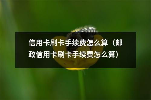 信用卡刷卡手续费怎么算（邮政信用卡刷卡手续费怎么算）