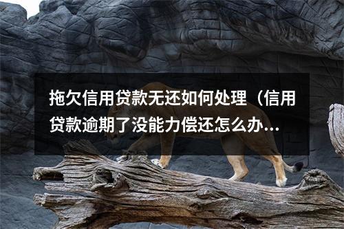 拖欠信用贷款无还如何处理（信用贷款逾期了没能力偿还怎么办）