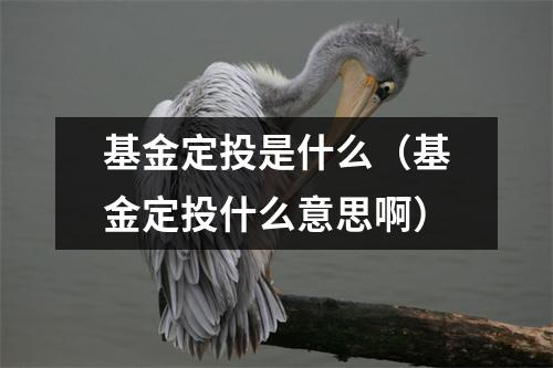 基金定投是什么(基金定投什么意思啊)