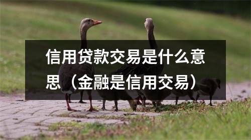 信用贷款交易是什么意思（金融是信用交易）