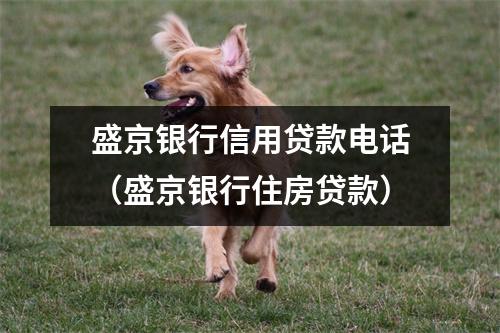 盛京银行信用贷款电话（盛京银行住房贷款）