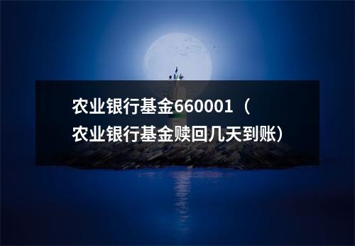 农业银行基金660001（农业银行基金赎回几天到账）