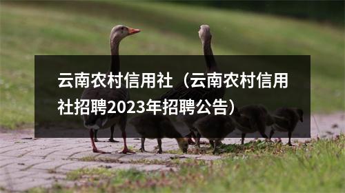 云南农村信用社（云南农村信用社招聘2023年招聘公告）