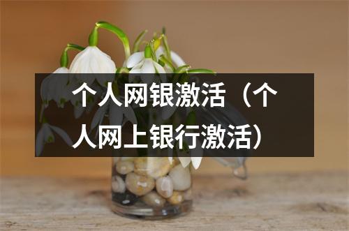 个人网银激活(个人网上银行激活)