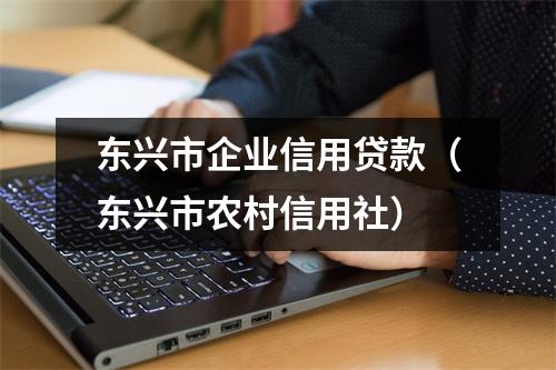 东兴市企业信用贷款（东兴市农村信用社）