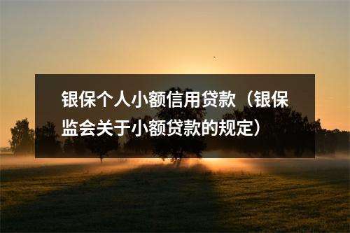银保个人小额信用贷款(银保监会关于小额贷款的规定)