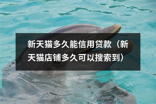 新天猫多久能信用贷款（新天猫店铺多久可以搜索到）