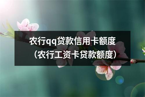 农行qq贷款信用卡额度（农行工资卡贷款额度）
