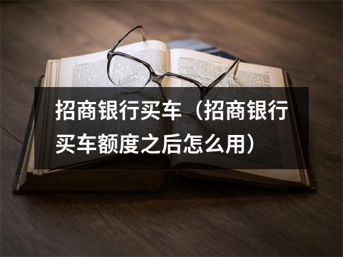 招商银行买车(招商银行买车额度之后怎么用)