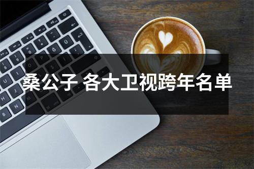 桑公子 各大卫视跨年名单