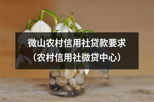 微山农村信用社贷款要求（农村信用社微贷中心）