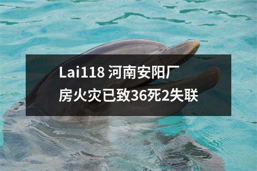 Lai118 河南安阳厂房火灾已致36死2失联