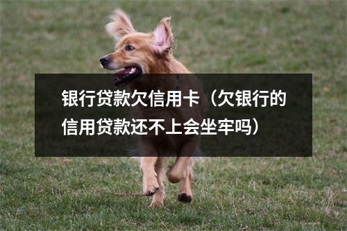 银行贷款欠信用卡（欠银行的信用贷款还不上会坐牢吗）