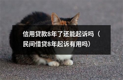 信用贷款8年了还能起诉吗(民间借贷8年起诉有用吗)