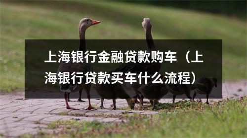 上海银行金融贷款购车（上海银行贷款买车什么流程）