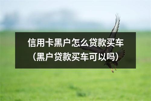 信用卡黑户怎么贷款买车（黑户贷款买车可以吗）