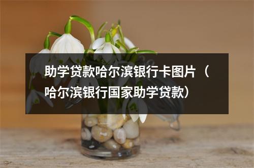 助学贷款哈尔滨银行卡图片(哈尔滨银行国家助学贷款)
