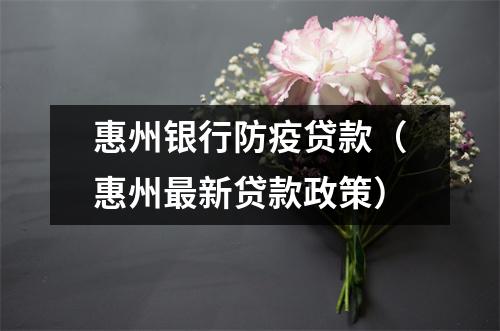 惠州银行防疫贷款（惠州最新贷款政策）