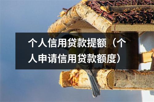 个人信用贷款提额（个人申请信用贷款额度）