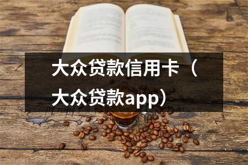 大众贷款信用卡（大众贷款app）