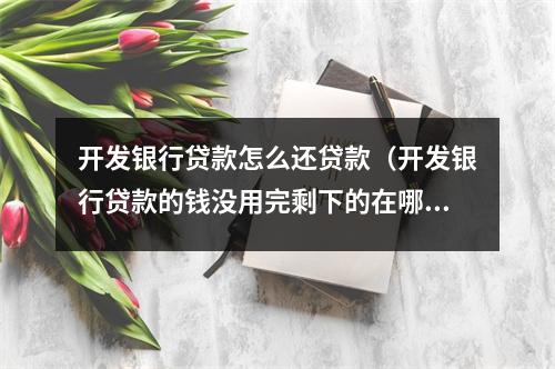 开发银行贷款怎么还贷款（开发银行贷款的钱没用完剩下的在哪）