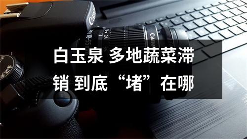 白玉泉 多地蔬菜滞销 到底“堵”在哪