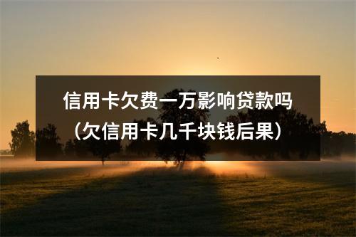 信用卡欠费一万影响贷款吗（欠信用卡几千块钱后果）