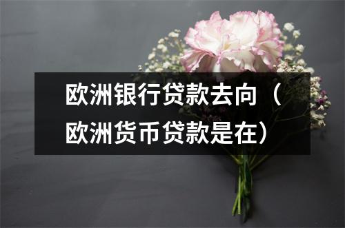 欧洲银行贷款去向（欧洲货币贷款是在）