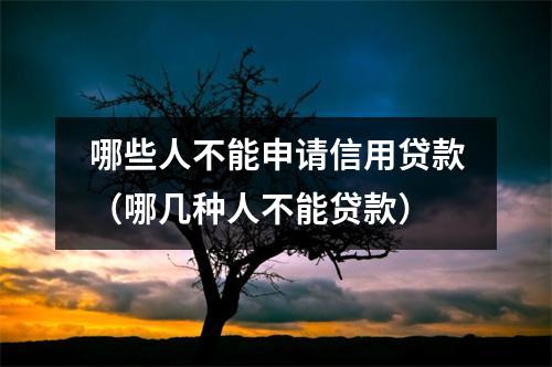 哪些人不能申请信用贷款（哪几种人不能贷款）