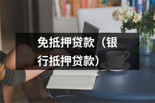 免抵押贷款（银行抵押贷款）