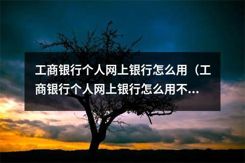 工商银行个人网上银行怎么用（工商银行个人网上银行怎么用不了）