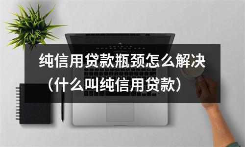 纯信用贷款瓶颈怎么解决(什么叫纯信用贷款)