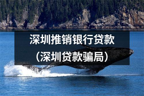 深圳推销银行贷款(深圳贷款骗局)