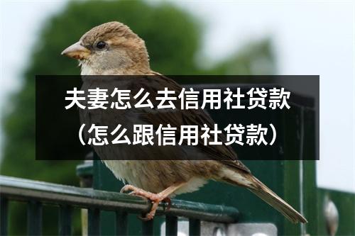 夫妻怎么去信用社贷款（怎么跟信用社贷款）