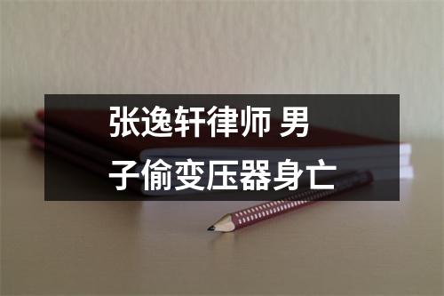 张逸轩律师 男子偷变压器身亡