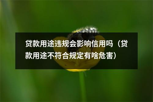 贷款用途违规会影响信用吗（贷款用途不符合规定有啥危害）
