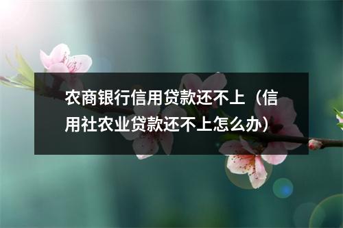 农商银行信用贷款还不上（信用社农业贷款还不上怎么办）