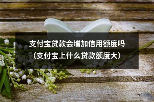 支付宝贷款会增加信用额度吗（支付宝上什么贷款额度大）