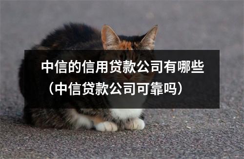 中信的信用贷款公司有哪些（中信贷款公司可靠吗）