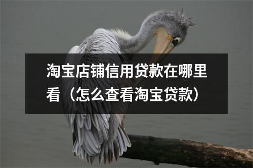 淘宝店铺信用贷款在哪里看（怎么查看淘宝贷款）