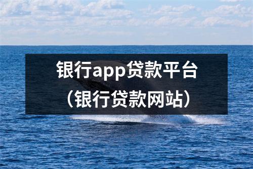银行app贷款平台（银行贷款网站）