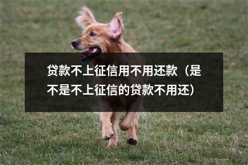 贷款不上征信用不用还款（是不是不上征信的贷款不用还）