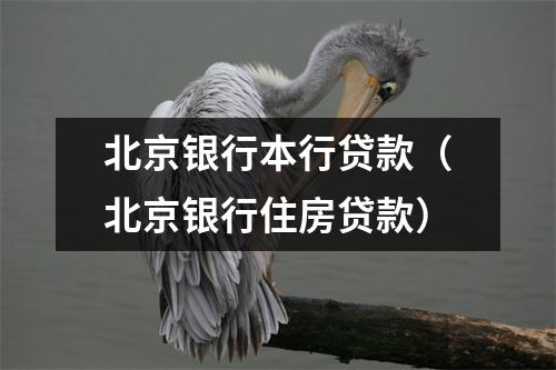 北京银行本行贷款（北京银行住房贷款）