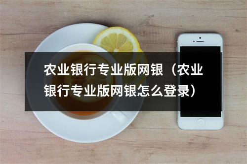农业银行专业版网银（农业银行专业版网银怎么登录）