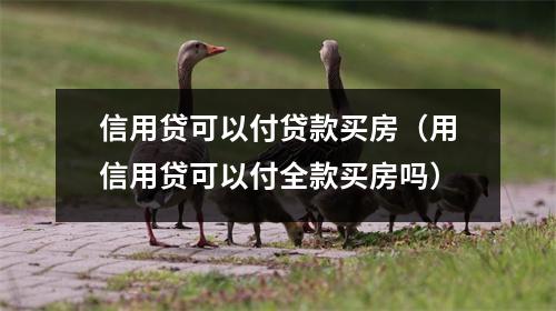 信用贷可以付贷款买房(用信用贷可以付全款买房吗)