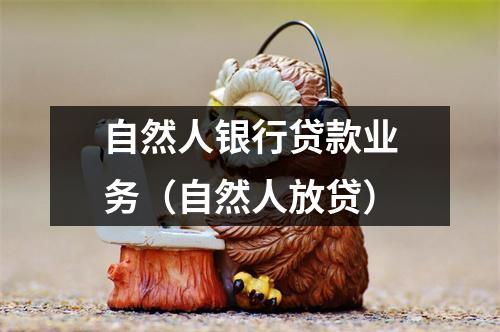 自然人银行贷款业务(自然人放贷)