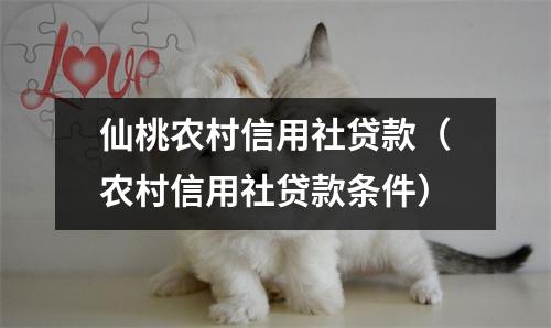 仙桃农村信用社贷款（农村信用社贷款条件）
