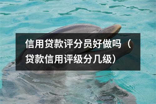 信用贷款评分员好做吗(贷款信用评级分几级)